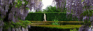 'Through the Wisteria at Sissinghurst' - Image by JR P